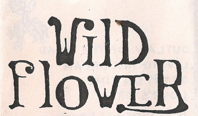 logo Wild Flower